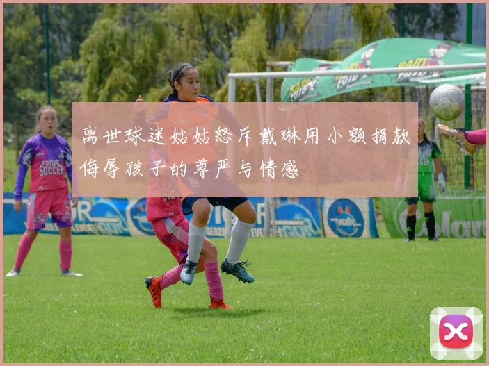 离世球迷姑姑怒斥戴琳用小额捐款侮辱孩子的尊严与情感