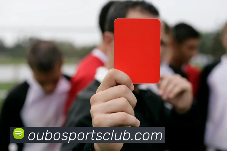 欧宝体育平台生态图